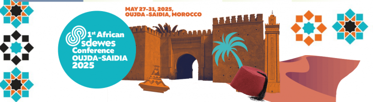 Održana 1st African SDEWES konferencija